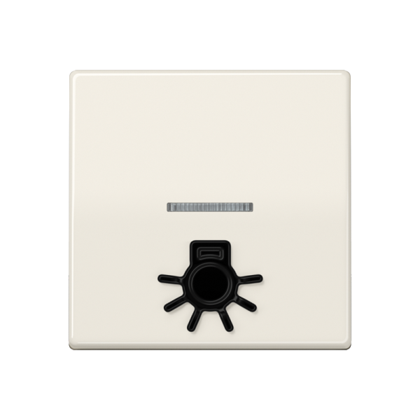 JUNG Клавиша с окошком для подсветки и символом "свет" слоновая кость ABAS591L1KO5