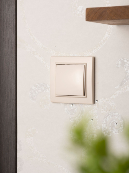 Купить EKF Basic Минск Бежевый Кнопка нажимная, 10А, СП