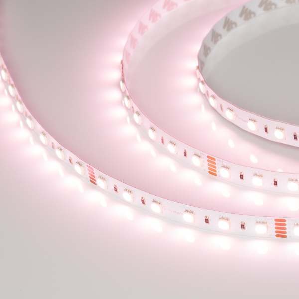 Купить Arlight Светодиодная лента RT-B60-12mm 24V RGBW-White-4-in-1 (19.2 W/m, IP20, 5060, 5m) (Открытый) 019096(2)