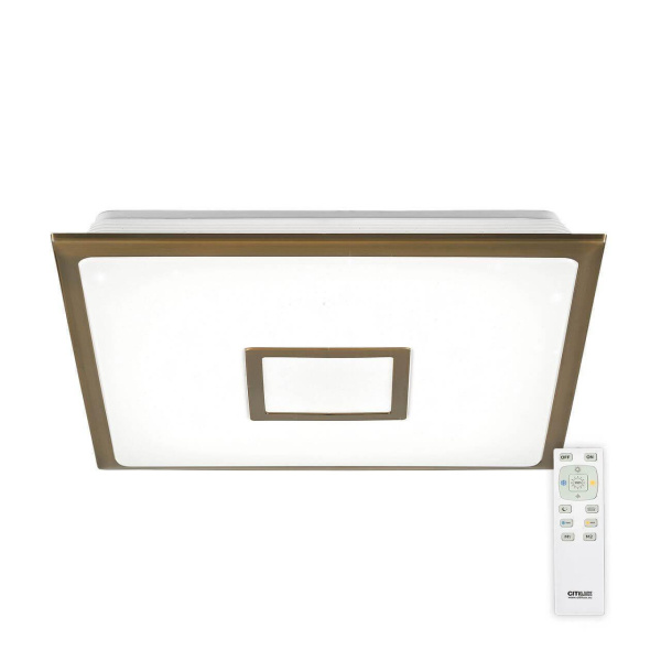 Citilux Светильник потолочный светодиодный CL70353R