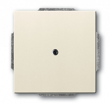 ABB BJB Basic 55 Беж Заглушка с суппортом 2CKA001715A0313