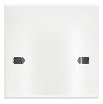 BT Axolute White Вывод кабеля с нерасплавляющейся лицевой панелью, 45А HD4955A45