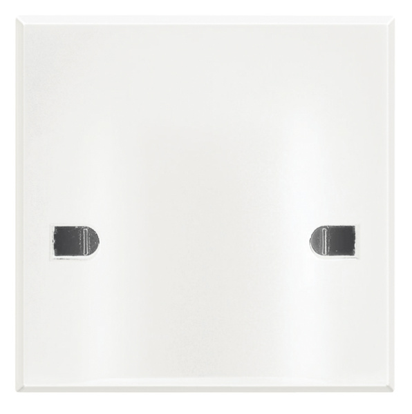 BT Axolute White Вывод кабеля с нерасплавляющейся лицевой панелью, 45А HD4955A45