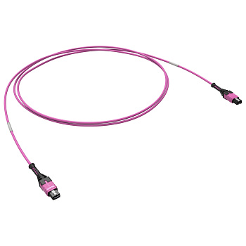 DKC Оптическая соединительная сборка 12ОВ 50/125 OM4, 1xMTP PRO(12)/1xMTP PRO(12), 10м