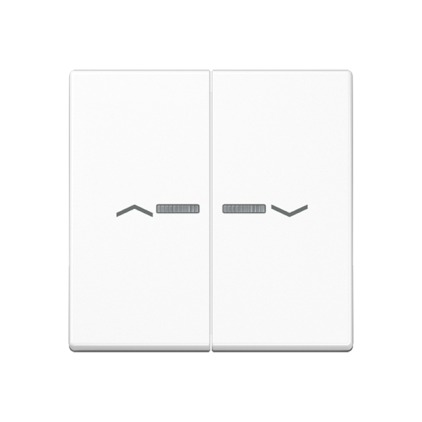 JUNG Клавиши для сдвоенной кнопки BCU, белый A595KO5PWW