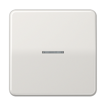 JUNG CD 500/CD plus Светло-серая Клавиша 1-ая с/п CD590KO5LG