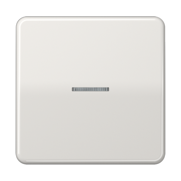 JUNG CD 500/CD plus Светло-серая Клавиша 1-ая с/п CD590KO5LG