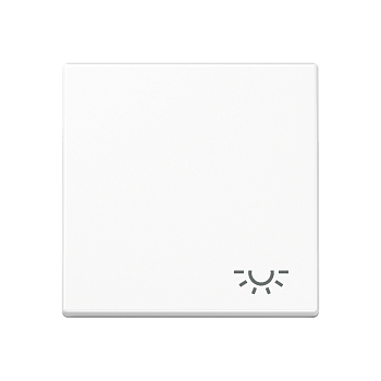 JUNG A 500 Белая Клавиша 1-ая с символом ОСВЕЩЕНИЕ A590LWW