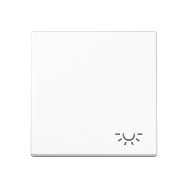 JUNG A 500 Белая Клавиша 1-ая с символом ОСВЕЩЕНИЕ A590LWW