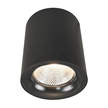 Arte Lamp FACILE Потолочные светильники A5118PL-1BK