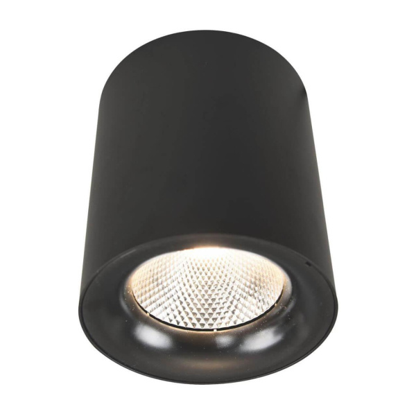 Arte Lamp FACILE Потолочные светильники A5118PL-1BK