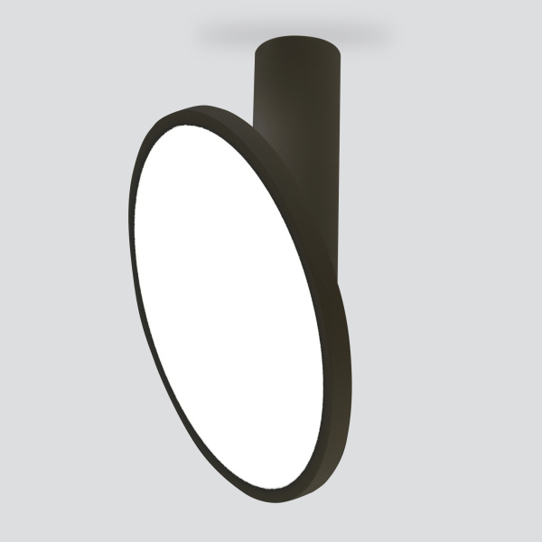 Elektrostandard DLS029 / Светильник накладной черный матовый a047772