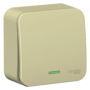 Systeme Electric Blanca наруж Беж Выключатель 1-клавишный (cх.1) с подсветкой, изолир. пластина 10А,250B