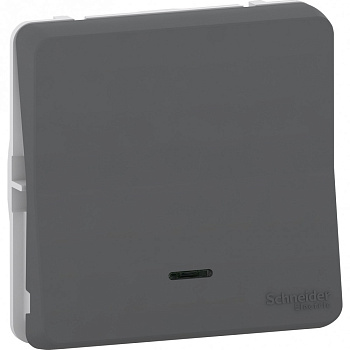SE Mureva Styl Антрацит Переключатель с подсветкой, IP55 MUR35025
