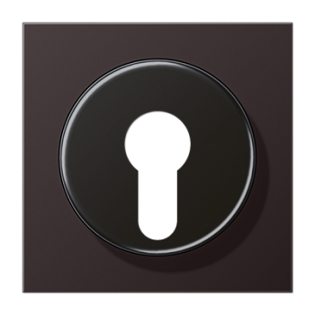 JUNG крышка для выключателя с замком, Dark AL2928D