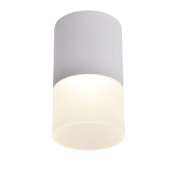 Favourite Потолочный светильник Naram D64*H110 LED*5W, 400LM, 4000K, IP20, included 3069-1C