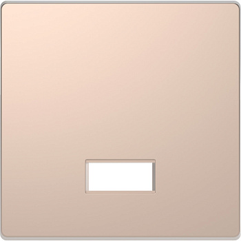 SE Merten D-Life Шампань Клавиша с полем д/символа MTN3350-6051