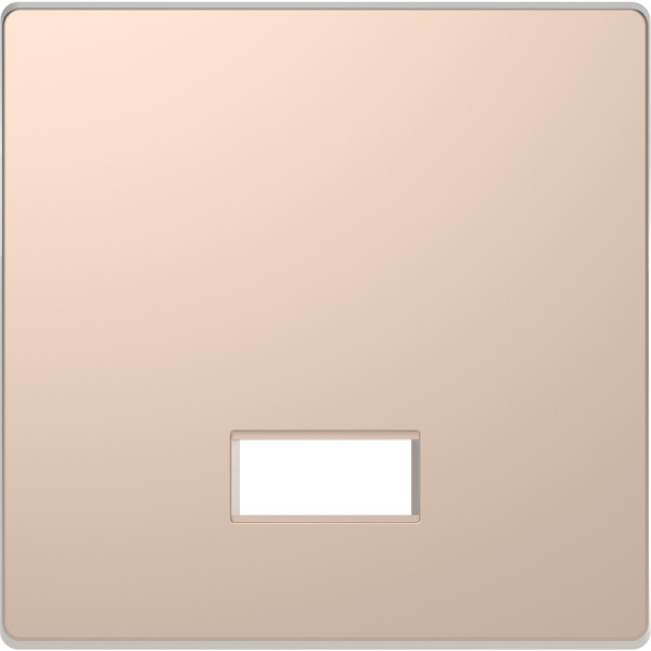 SE Merten D-Life Шампань Клавиша с полем д/символа MTN3350-6051