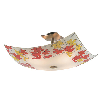 Citilux CL937308 Бронза+Осень Свет-к Наст.-Потол