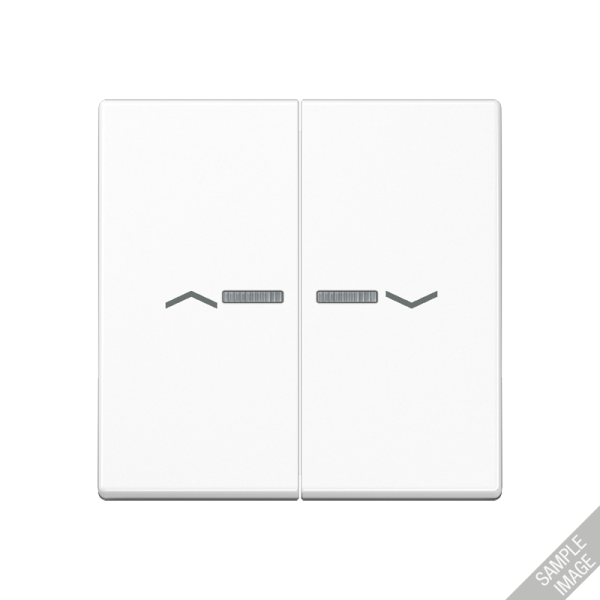 JUNG Клавиша для выключателя с подсветкой, матовый антрацит A595BFKO5PANM