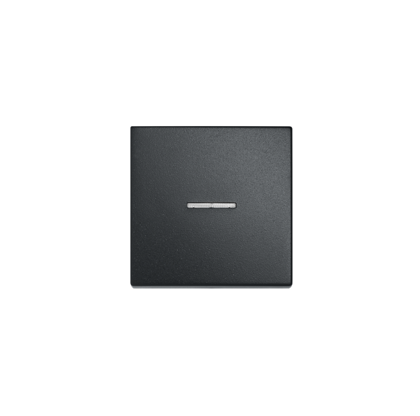 JUNG EcoProfi Черный матовый Клавиша 1-ая с/п EP490KOSWM