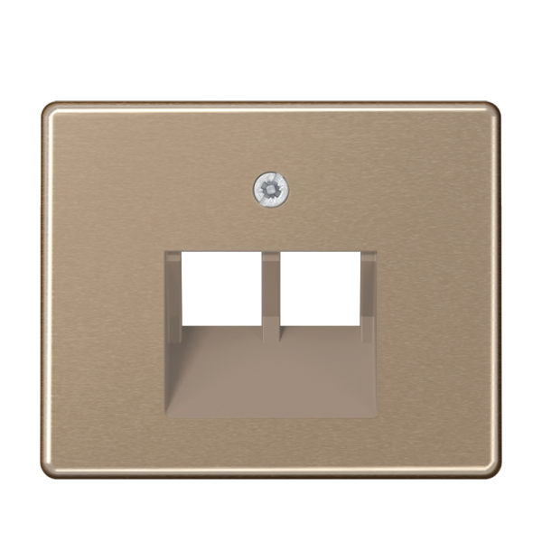 JUNG SL 500 Бронза Накладка 2-ой наклонной ТЛФ/комп розетки SL569-2UAGB