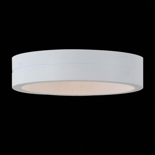 Купить ST LUCE SL562.501.01 Светильник уличный настенный  Белый/Белый LED 1*6W