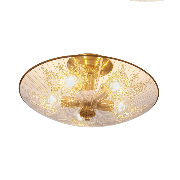 Купить Citilux Потолочный светильник Регент CL915251