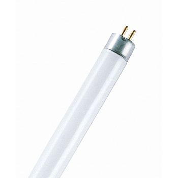 Osram Лампа люминесцентная BASIC T5 короткие L 13W/640 холод. белый, d=16мм G5 4050300008974