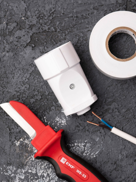 Купить EKF PROxima Гнездо штепсельное б/з бел. 10А 250В