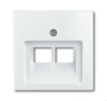 ABB BJB Basic 55 Бел Накладка 2-ой ТЛФ/комп розетки наклонной 2CKA001753A0095