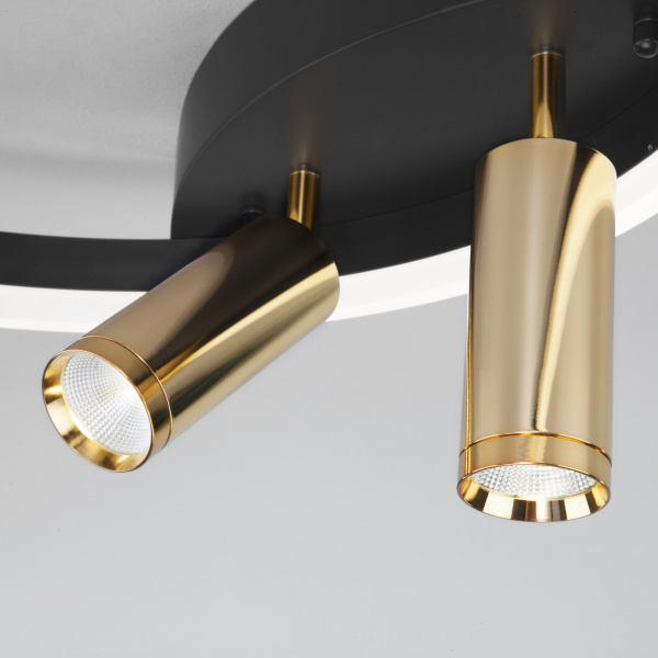 Купить Eurosvet 90247/3 Светильник потолочный черный/золото a055664