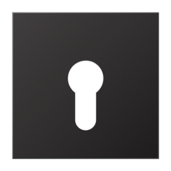 JUNG крышка для выключателя с замком, Dark AL2925D