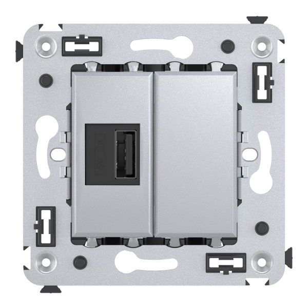 Купить DKC USB зарядное устройство в стену, "Avanti", "Закаленная сталь"