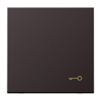 JUNG клавиша с символом двери, Dark AL2990TD