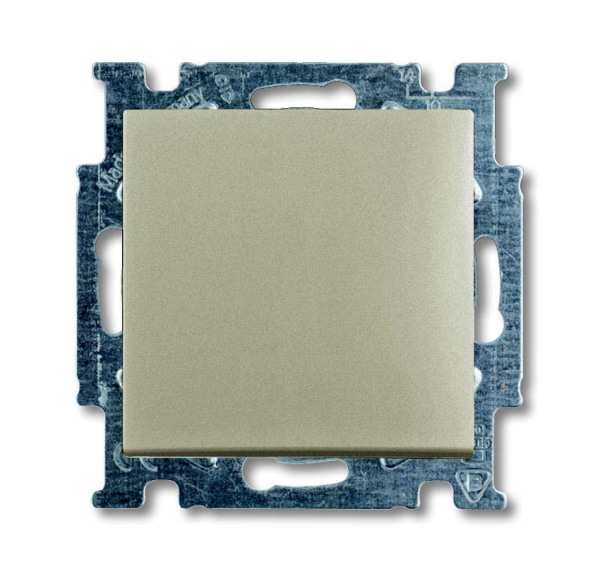 ABB BJB Basic 55 Шамп Выключатель 1-клавишный 2CKA001012A2164