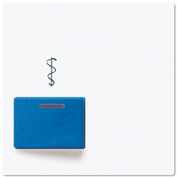 JUNG Крышка для изделий фирмы Ackermann A022A-2WW