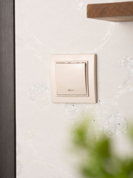 Купить EKF Basic Минск Бежевый Выключатель 1-кл с индикатором, 10А, СП