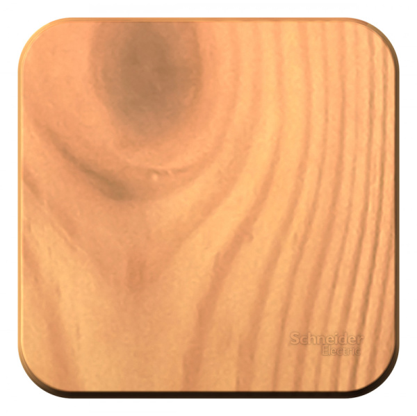 Systeme Electric Blanca наруж Ясень Выключатель 1-клавишный, 10А, 250B