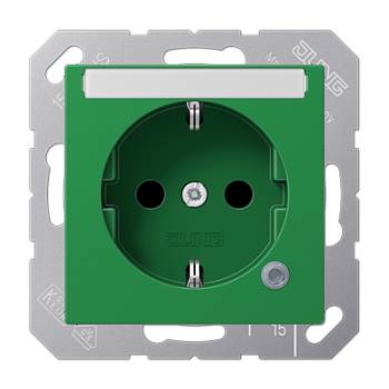 JUNG SCHUKO розетка с полем для надписи 6x46 мм, зелёный ABA1520BFNAKOGN