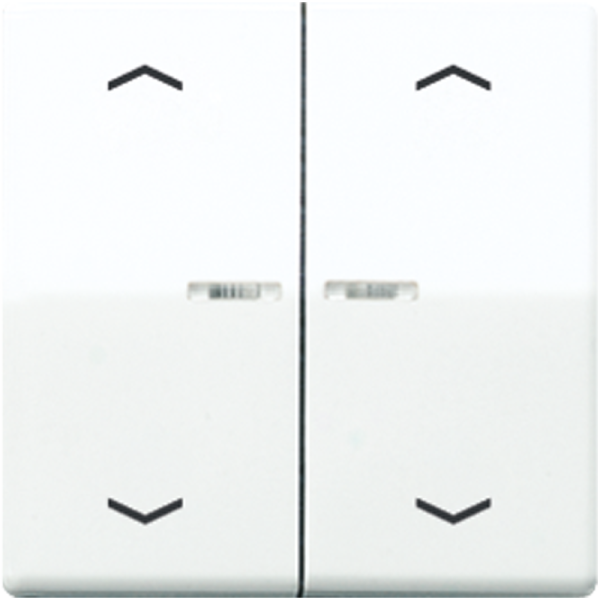 JUNG Клавиши для кнопки BCU белые AS591-5KO5MPWW