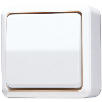 JUNG Выключатель для накладного монтажа, универсальный белый 606AWW