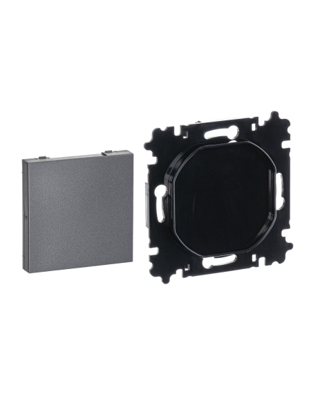 ABB EPJ Levit сталь / дымчатый чёрный Заглушка, сталь 2CHH050001A6069