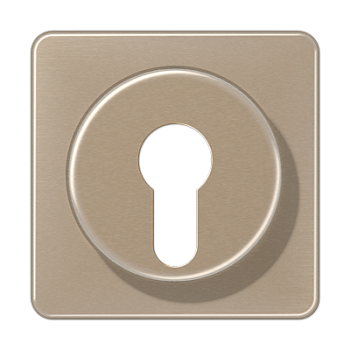 JUNG Крышка для выключателя с замком золотая бронза CD528GB