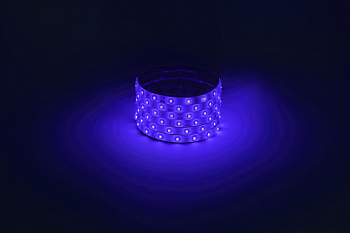 ЭРА Светодиодная лента LS2835 -4,8-60-12-B-IP65-1 year-5m, синий, 5м