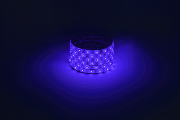 ЭРА Светодиодная лента LS2835 -4,8-60-12-B-IP65-1 year-5m, синий, 5м