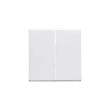 ABB Impressivo Клавиша для 2-клавишных выключателей/перелючателей/кнопок, глухая, , белый 2TKA000523G1