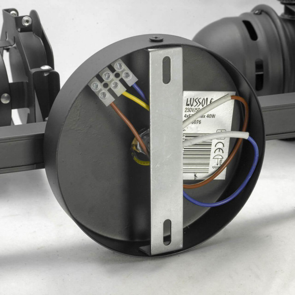 Купить Lussole LOFT Металл Черный /  Металл Светильник настенно-потолочный E14 40W LSP-8076