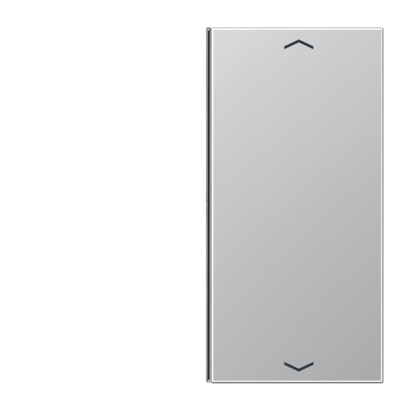 JUNG клавиша для выключателя 2 группы в сборе AL2402TSAP