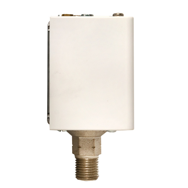 Купить EKF PROxima Реле избыточного давления RVG-20-1,6 (1,6 МПа)